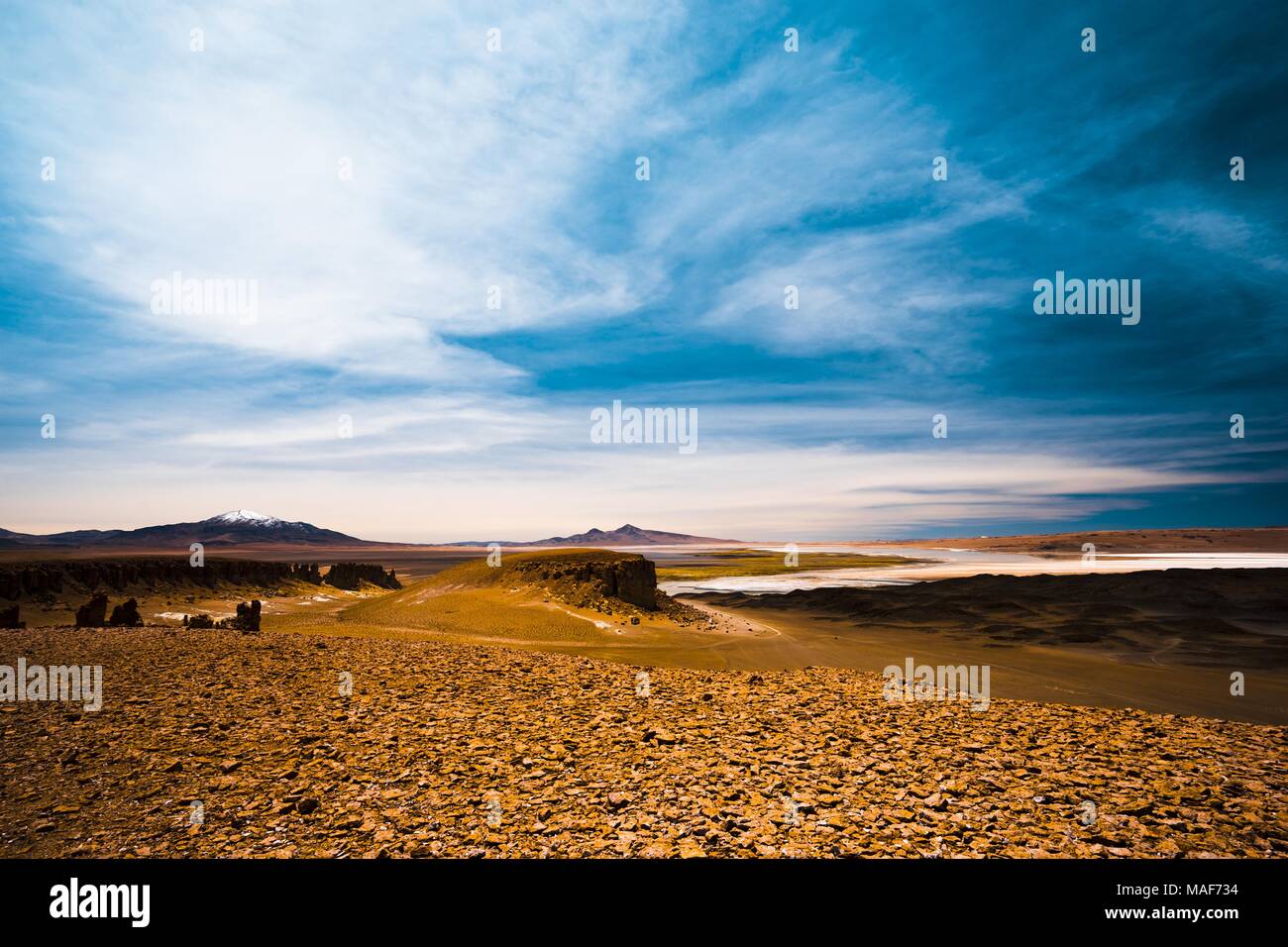 Salar de Tara au Chili, un tyical altiplano salt lake dans la région d'Atacama sec Banque D'Images