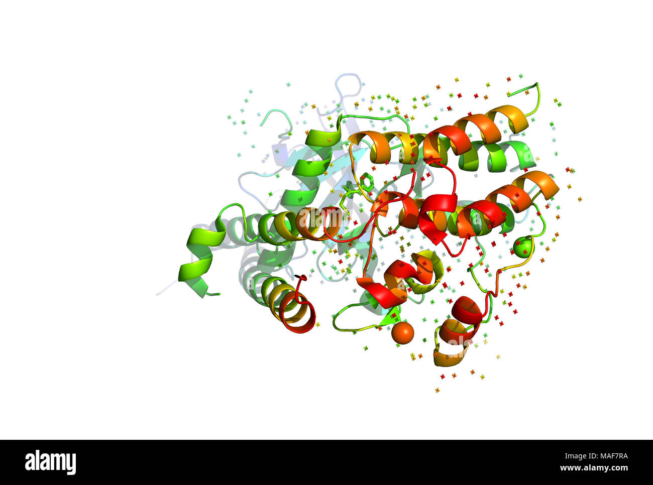 Modèle 3D d'une molécule de protéine. La structure spatiale de la