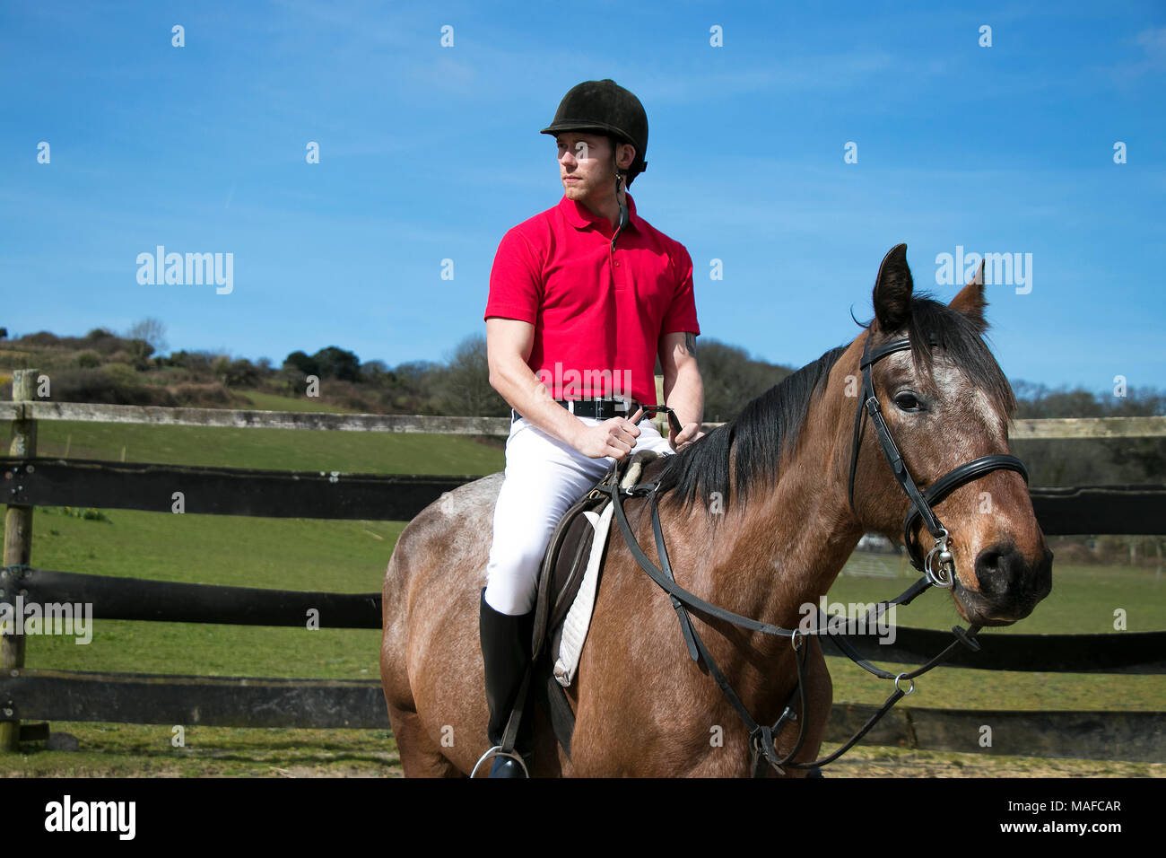 Beau mâle Horse Rider à cheval avec un casque, un pantalon blanc, des  bottes noires et rouges sur fond de ciel bleu polo en paddock Photo Stock -  Alamy