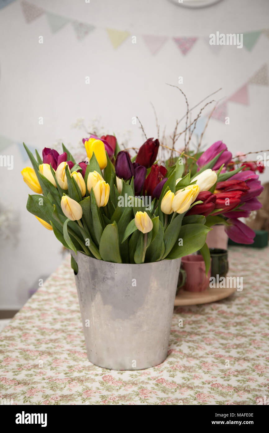 Tulipe rose dans un seau en métal dans le contexte d'un mur blanc Banque D'Images