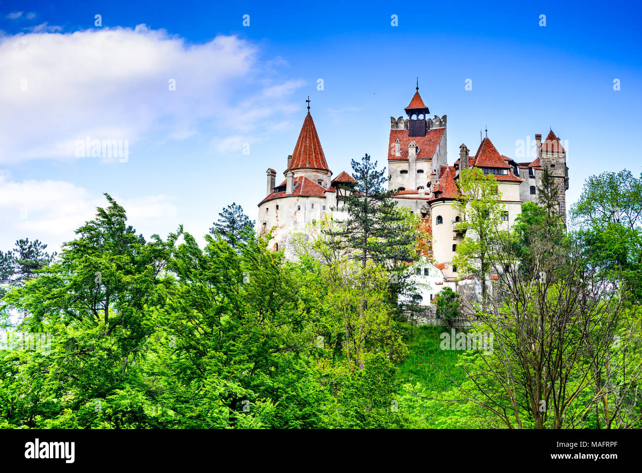 Le Château de Bran, Roumanie. Image de printemps magnifique château de Dracula à Brasov, en Transylvanie, l'Europe de l'Est. Banque D'Images