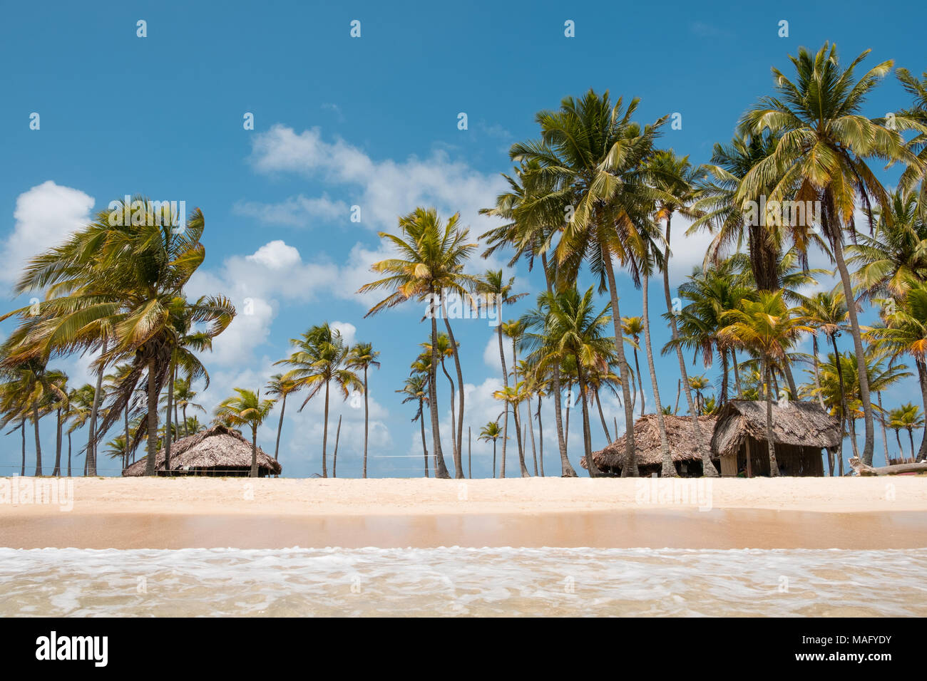 Beach bungalow sur l'île de palmiers - vacances d'été tropical island Banque D'Images