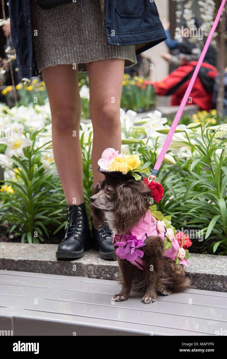 New York, NY, USA - 2018/04/01 : New York City Easter Bonnet Parade sur la 5e Avenue à Manhattan Banque D'Images
