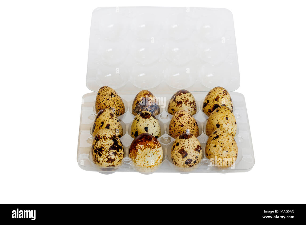 Oeufs de caille sur fond blanc Banque D'Images