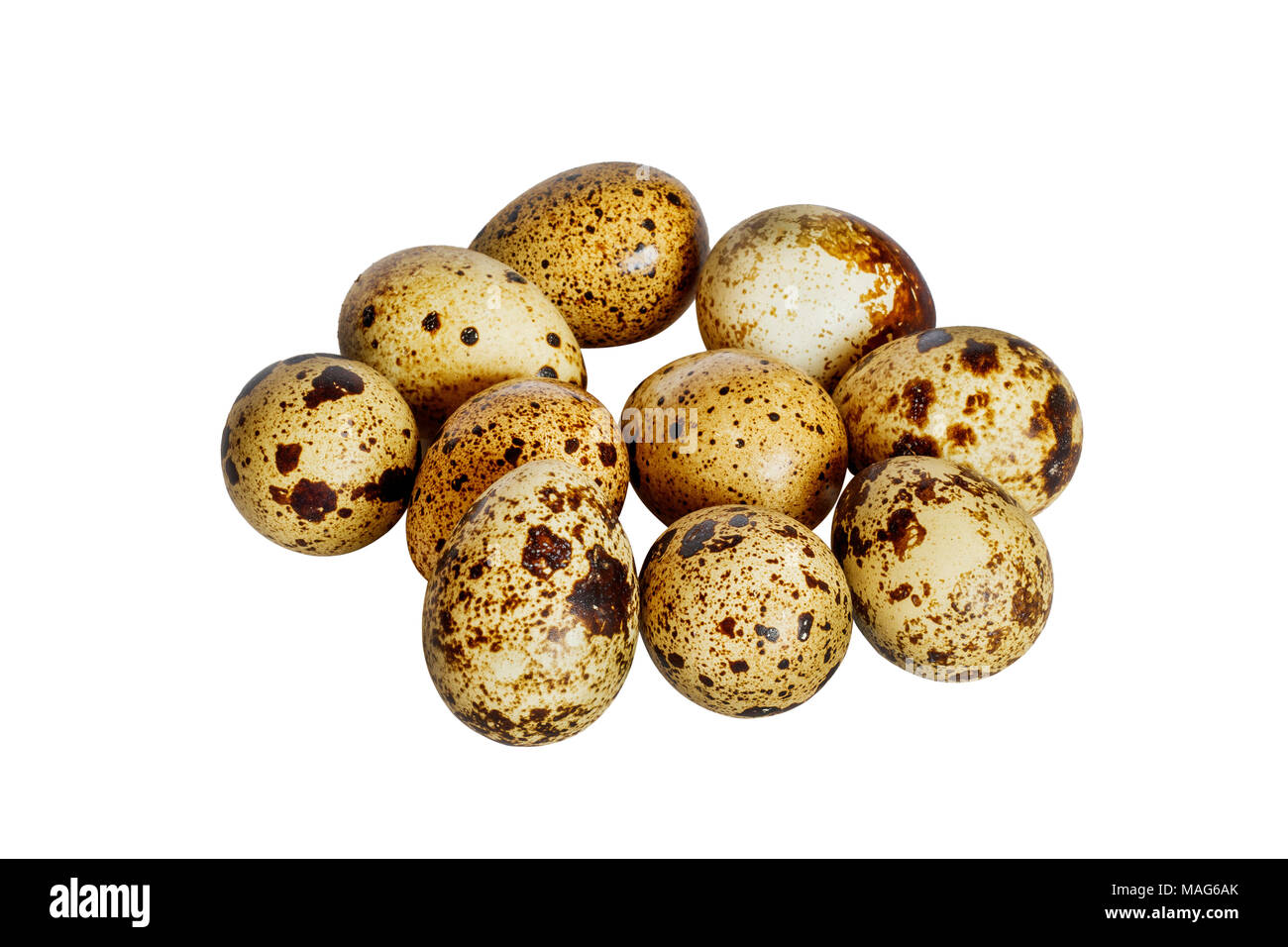 Oeufs de caille sur fond blanc Banque D'Images