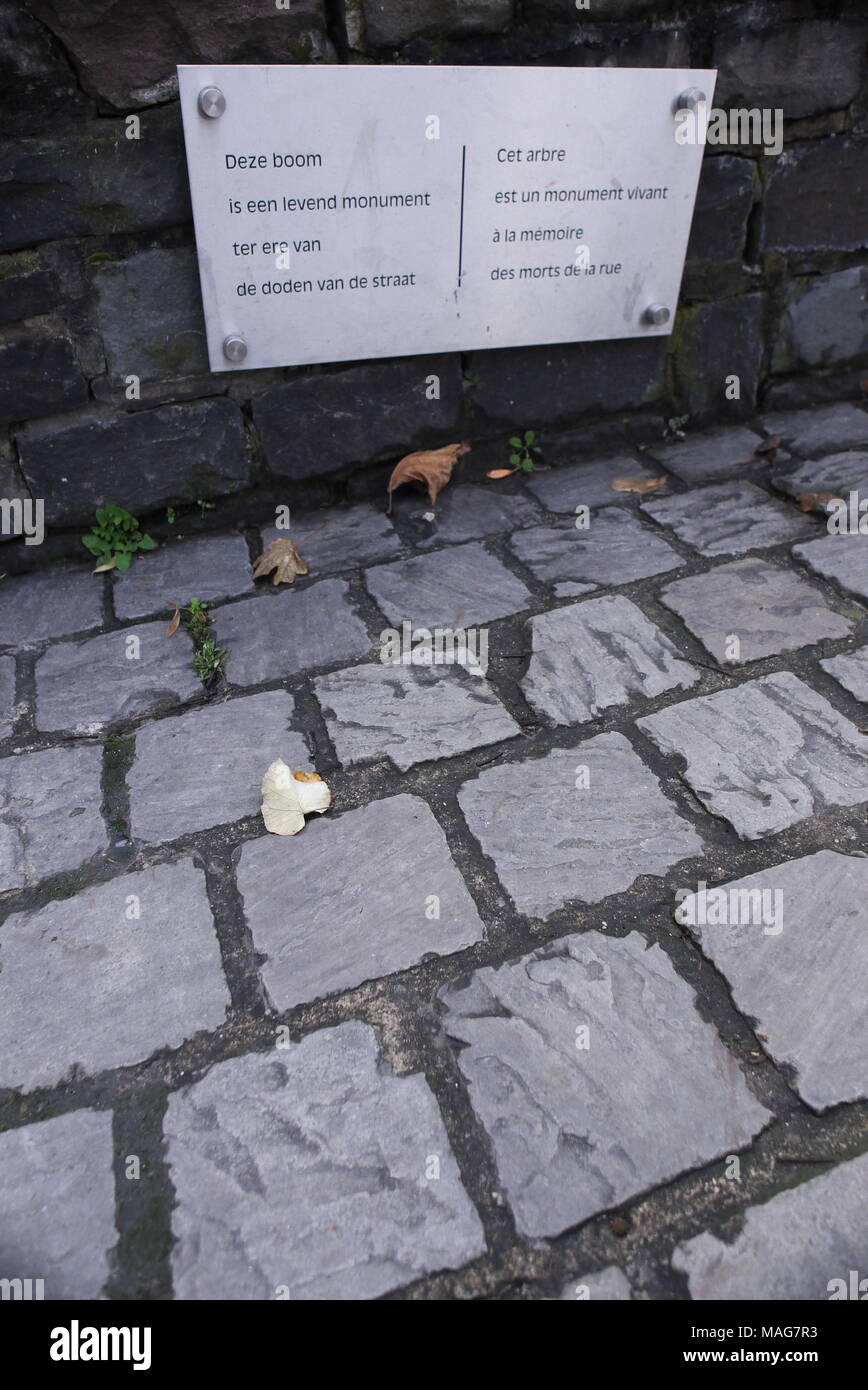 Hommage rendu au sans-abri qui sont morts dans la rue, Bruxelles, Belgique, Banque D'Images