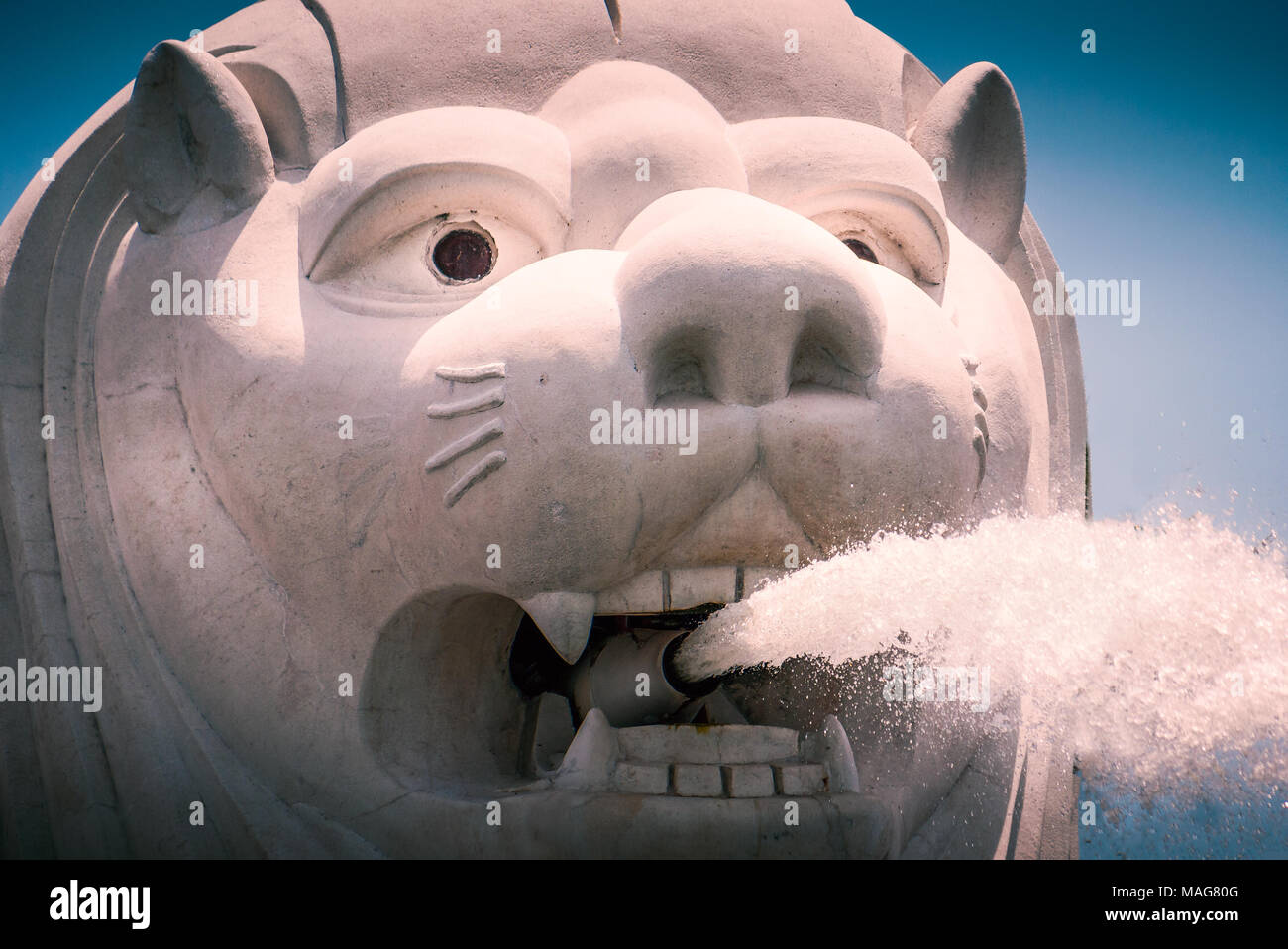 Gros plan du visage de la statue du Merlion, Singapour. C'est une fontaine d'une créature mythique avec la tête d'un lion et le corps d'un poisson et utilisé Banque D'Images