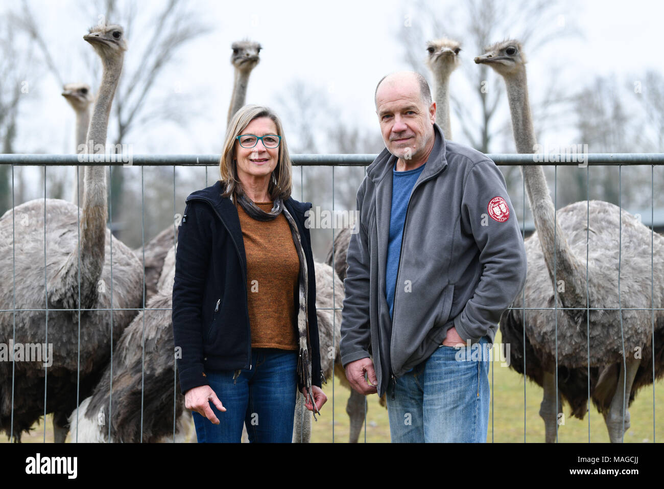 30 mars 2018, l'Allemagne, l'Ruelzheim : travailleur de la ferme d'autruches Uschi Braun et propriétaire Christoph Kistner se tiennent près de l'enceinte de l'Autruche à cou bleu dans la ferme d'Autruches "hou". Photo : Uwe Anspach/dpa Banque D'Images