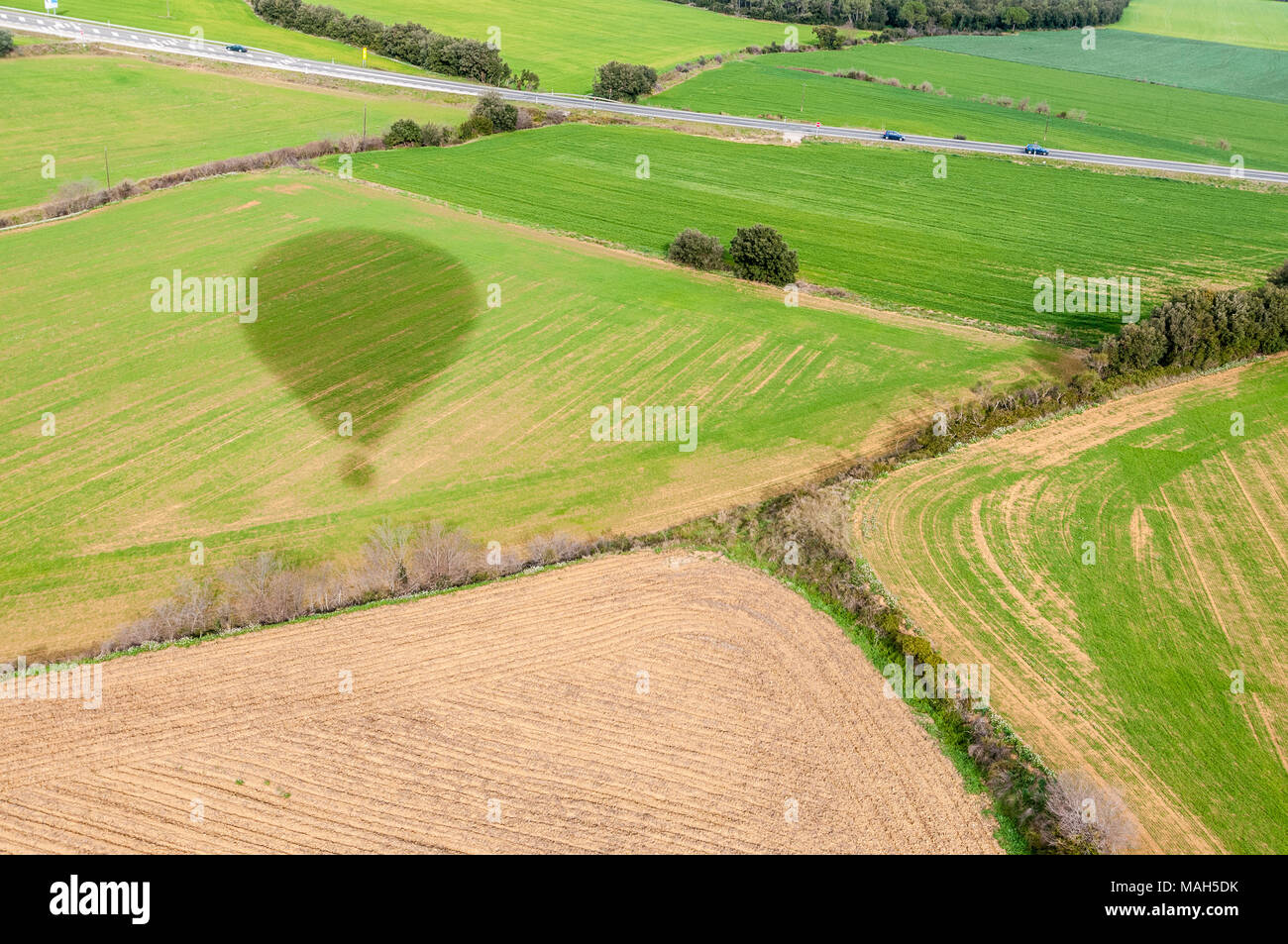 Ombre d'un ballon à air chaud sur un champ cultivé, Catalogne, Espagne Banque D'Images