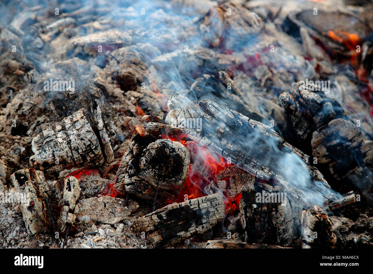 Bois brûlé avec le milieu chaud entouré de cendres et de charbon de bois Banque D'Images