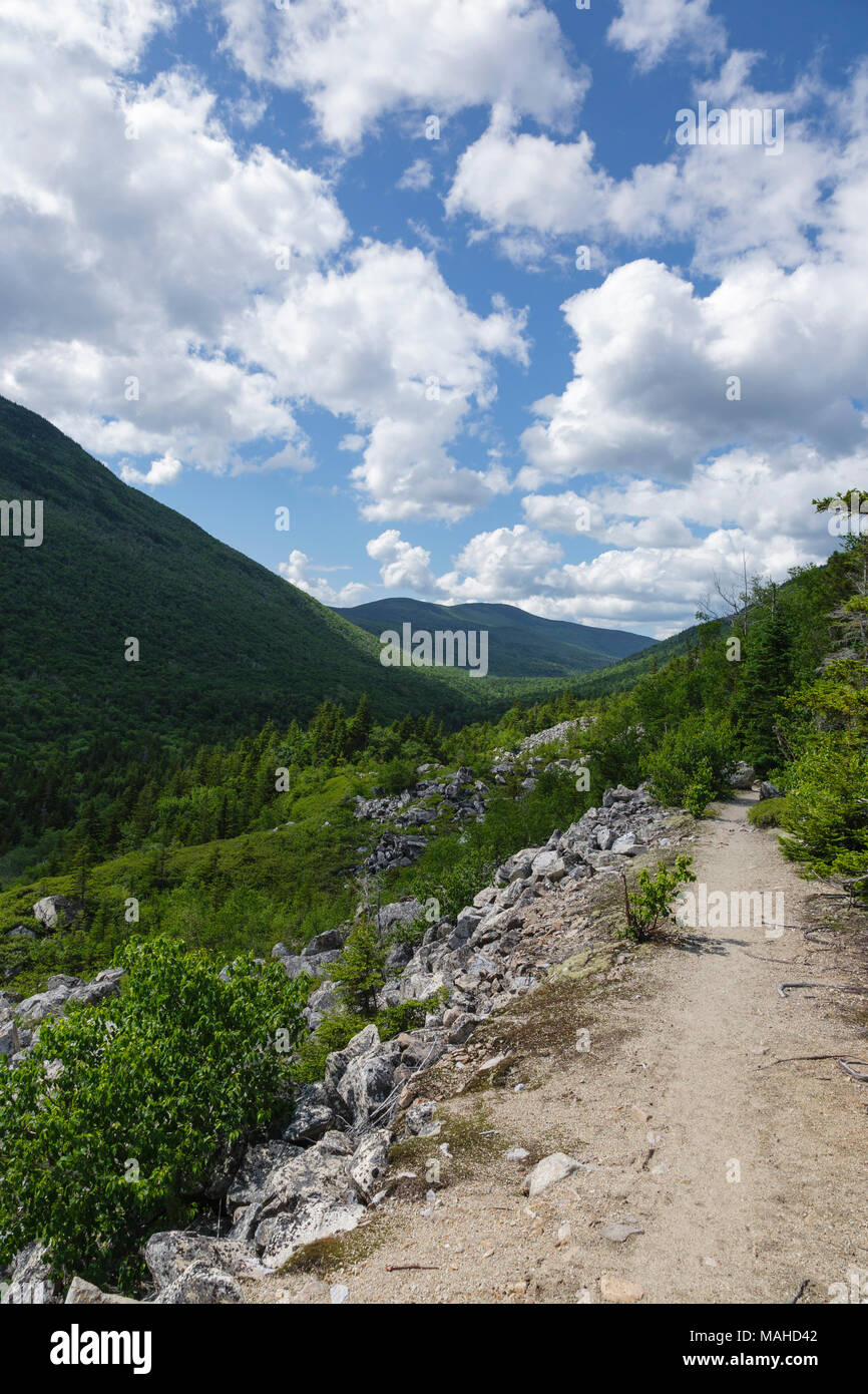 Zealand Notch - vue panoramique depuis le long de la piste Appalachian (Ethan Pond Trail) dans les White Mountains du New Hampshire. Banque D'Images