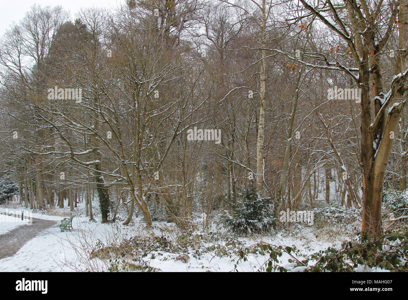 Paysage de l'harfang scen, South Hill Park, Bracknell, Berkshire, Royaume-Uni Banque D'Images