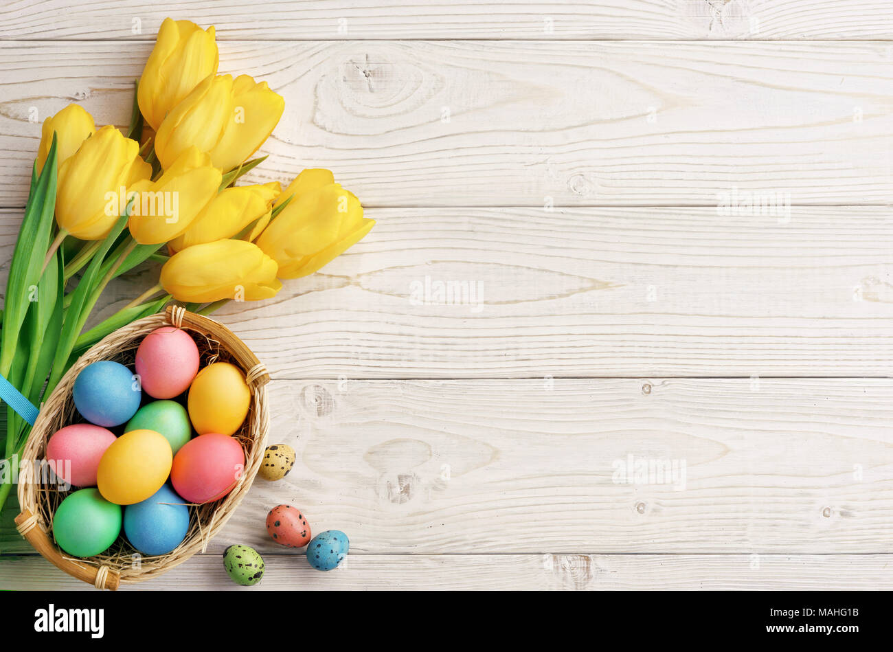 Arrière-plan de Pâques avec des œufs de Pâques et de fleurs de printemps. Vue de dessus avec l'exemplaire de l'espace. Banque D'Images