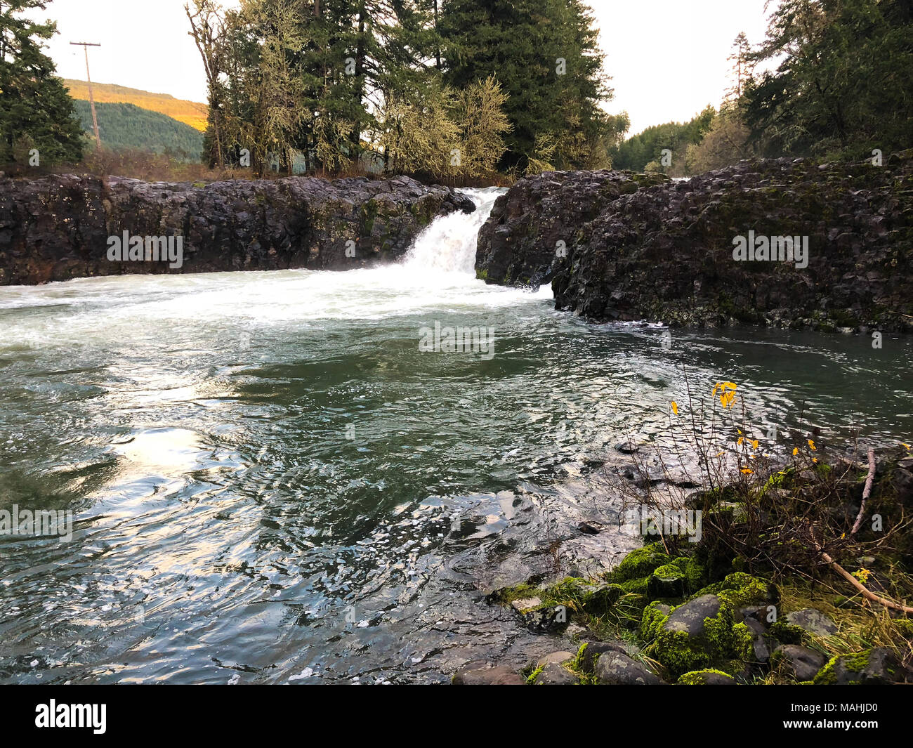 Wildwood Falls dans l'Oregon Banque D'Images