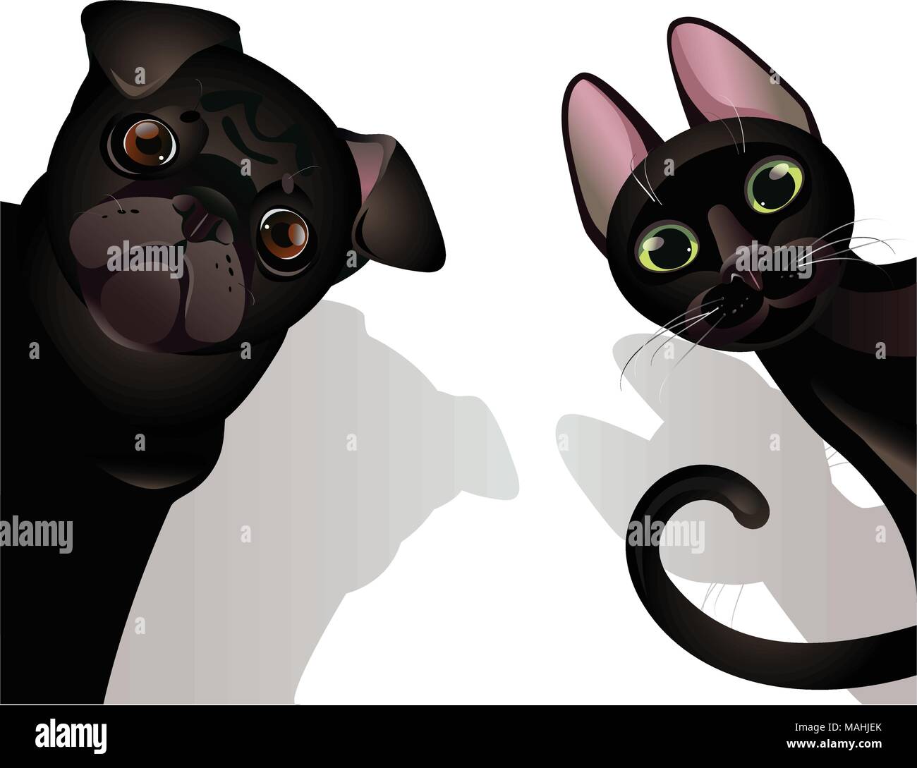 Chien Et Chat Drole Image Vectorielle Stock Alamy