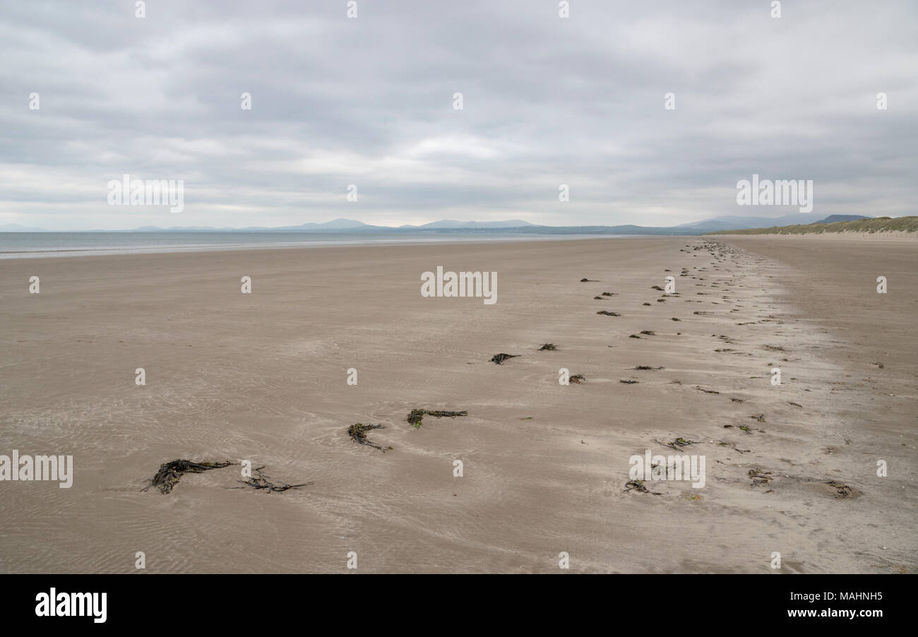 Harlech Beach sur l'image à la fin du printemps, Snowdonia, le Nord du Pays de Galles, Royaume-Uni. Banque D'Images