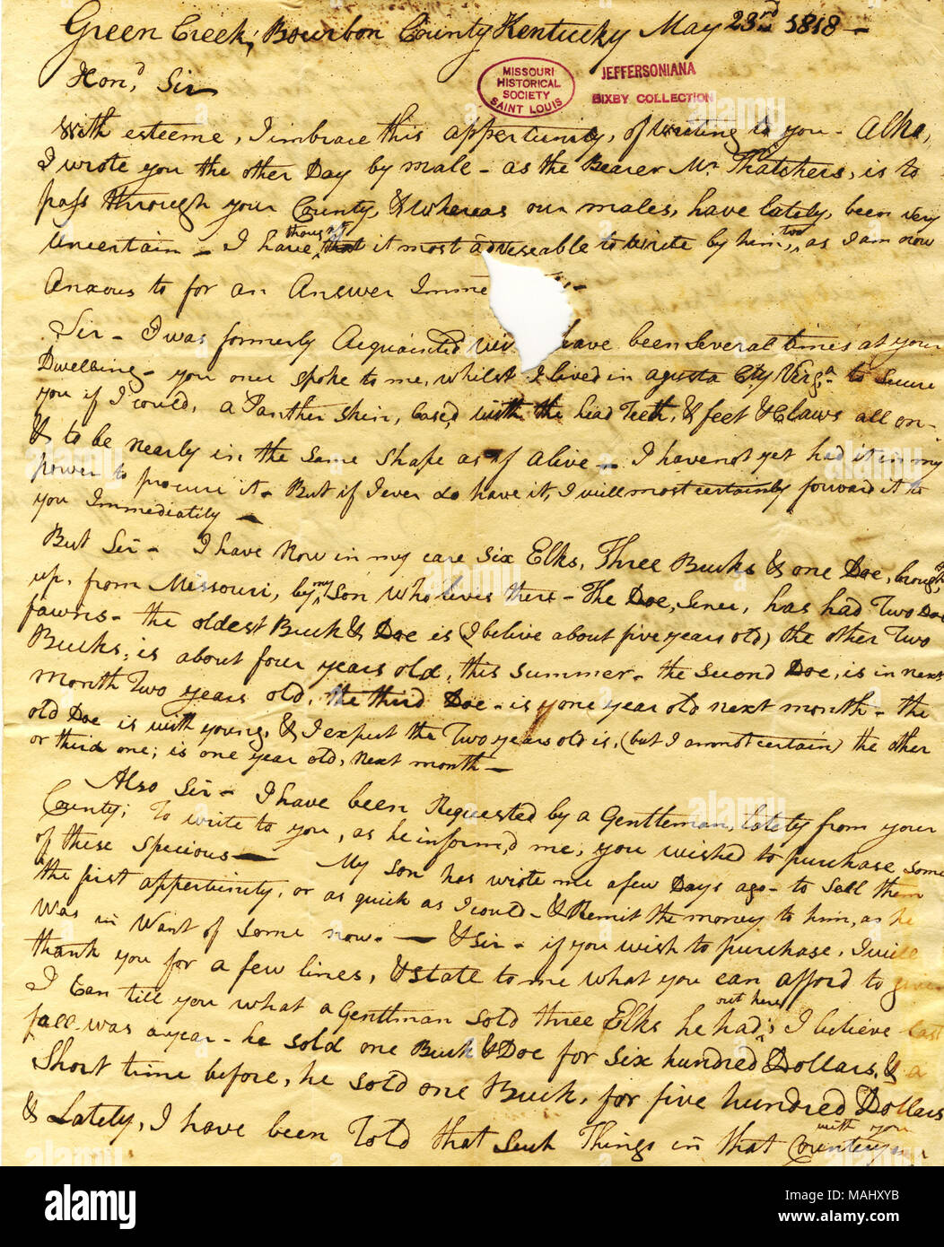 Mentionne l'acquisition d'une peau de panthère et l'élan et le cerf skins du Missouri. Titre : lettre signée John McKinney, Green Creek, Bourbon County (Kentucky), à Thomas Jefferson, Albemarle County, Virginie, le 23 mai 1818 . 23 mai 1818. McKinney, John Banque D'Images