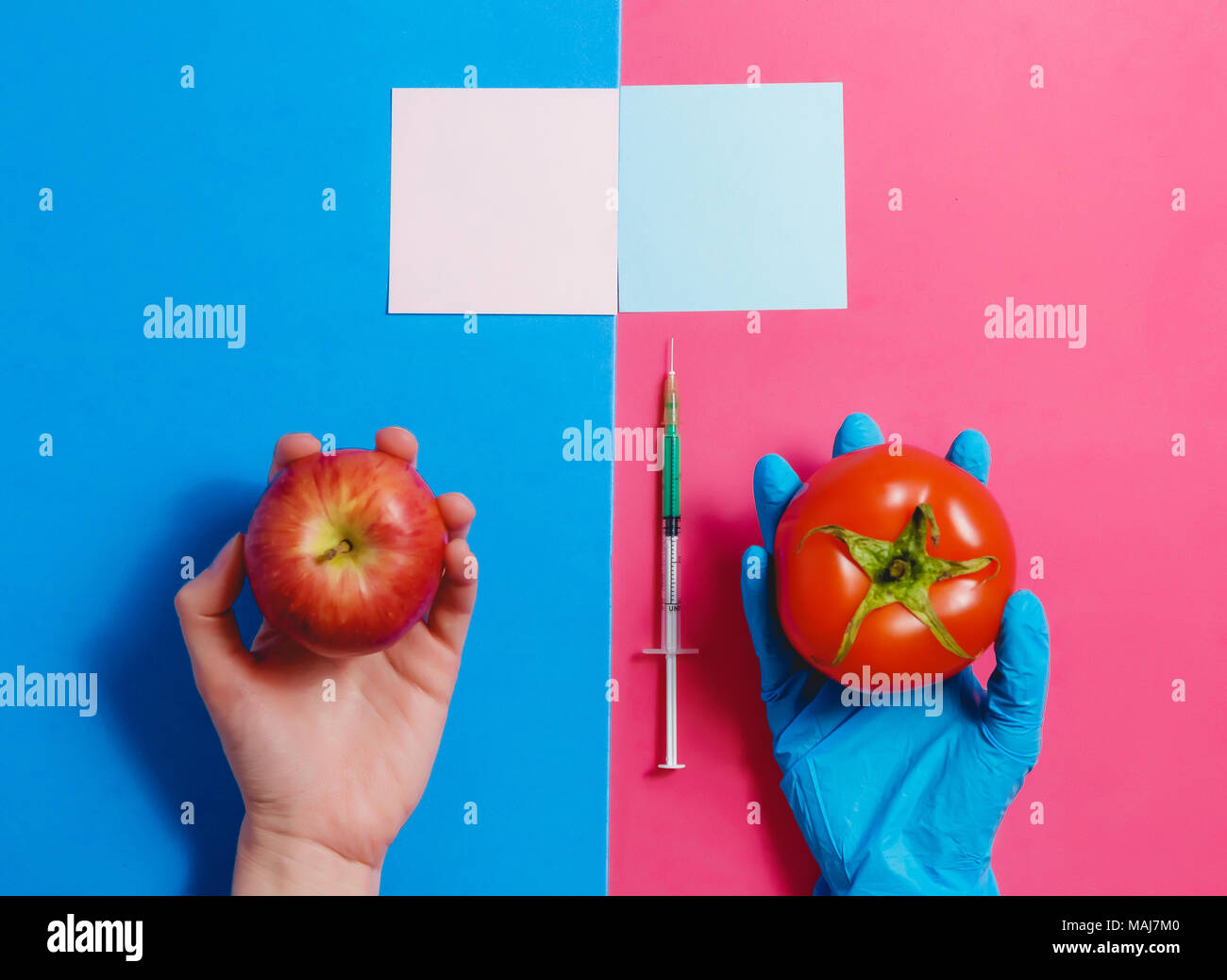 Une tomate génétiquement modifiée sur rose ou rouge naturel bleu sur Apple. Concept d'OGM. Banque D'Images