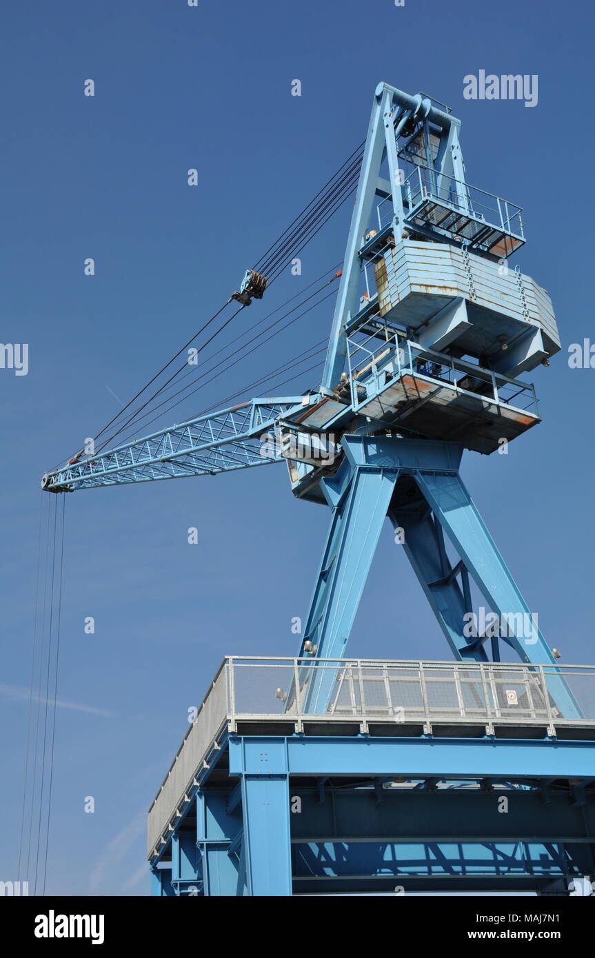 Blue Crane, Hafen Offenbach, Allemagne Banque D'Images