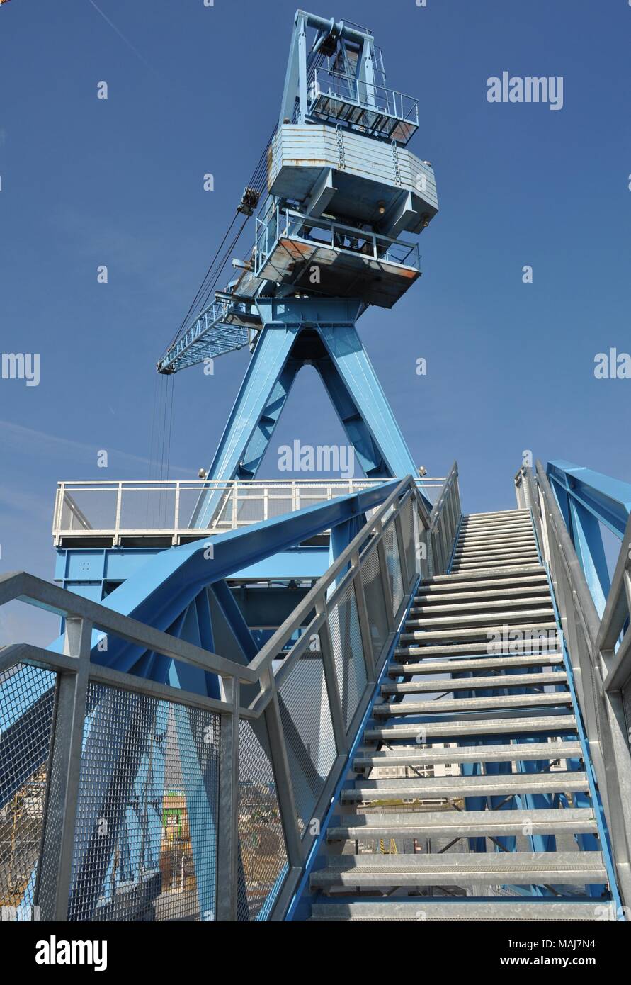 Blue Crane, Hafen Offenbach, Allemagne Banque D'Images