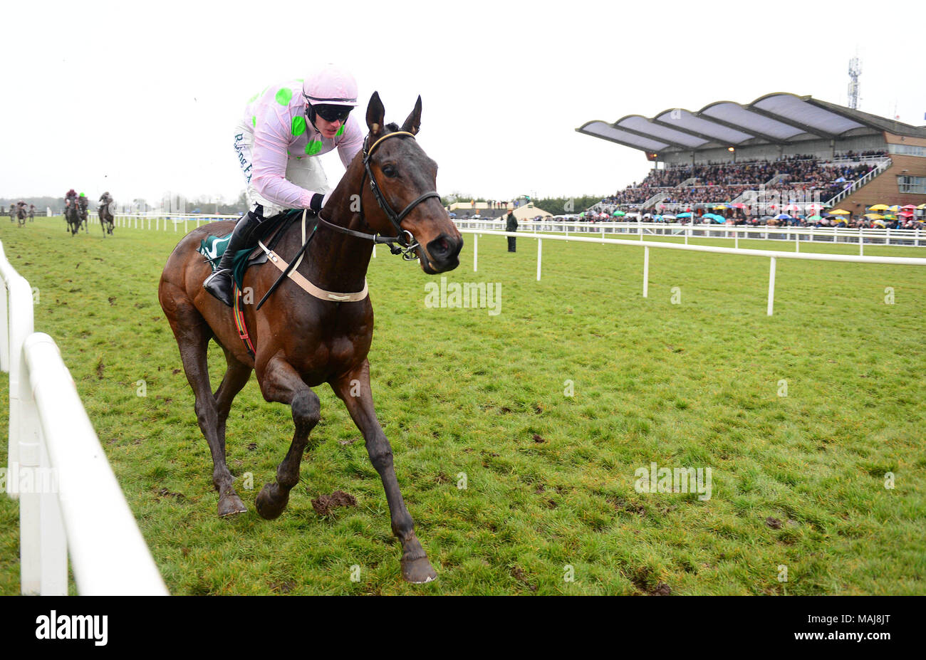 Getabird monté par Paul Townend remporte le Rathbarry & Glenview Novice Hurdle goujons BoyleSports Grand irlandais lors de la Journée nationale de la fête de Pâques 2018 à l'Hippodrome Fairyhouse Ratoath, Meath, Co.. Banque D'Images