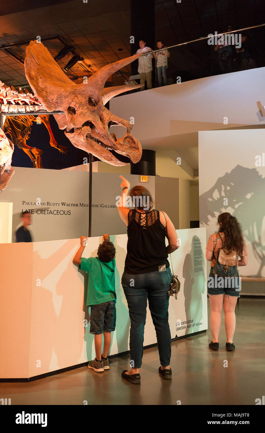 Une famille avec des enfants regardant un fossile de squelette de dinosaure triceratops, Houston Museum of Natural Science, Houston, Texas, États-Unis Banque D'Images