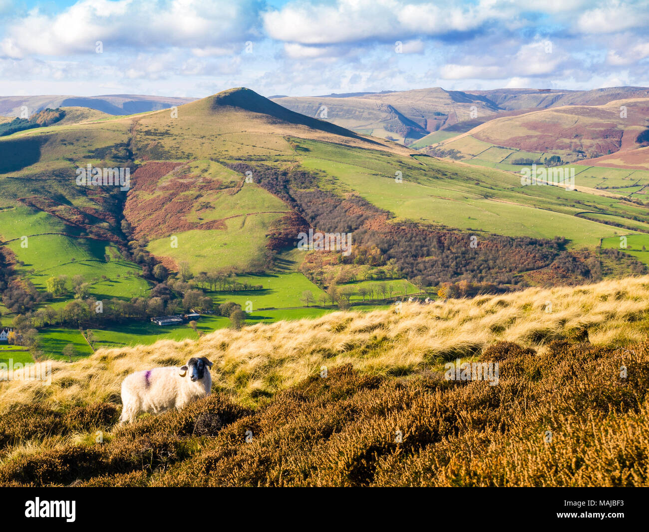 Losehill et Kinder scout dans le Peak District National Park Banque D'Images