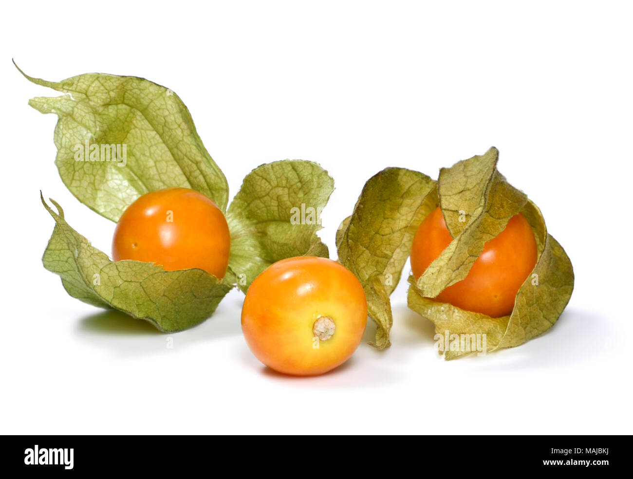 Physalis isolés ou d'hiver, cerise, fruits sur fond blanc. Groseille Mûre, l'arrangement. Banque D'Images