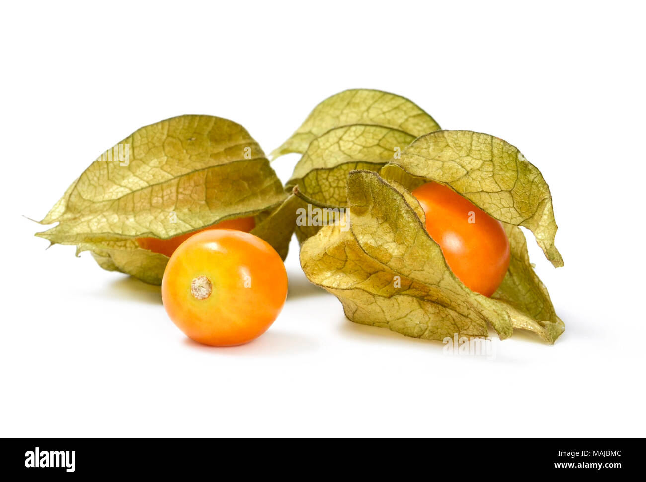 Physalis isolés ou d'hiver, cerise, fruits sur fond blanc. Groseille Mûre, l'arrangement. Banque D'Images