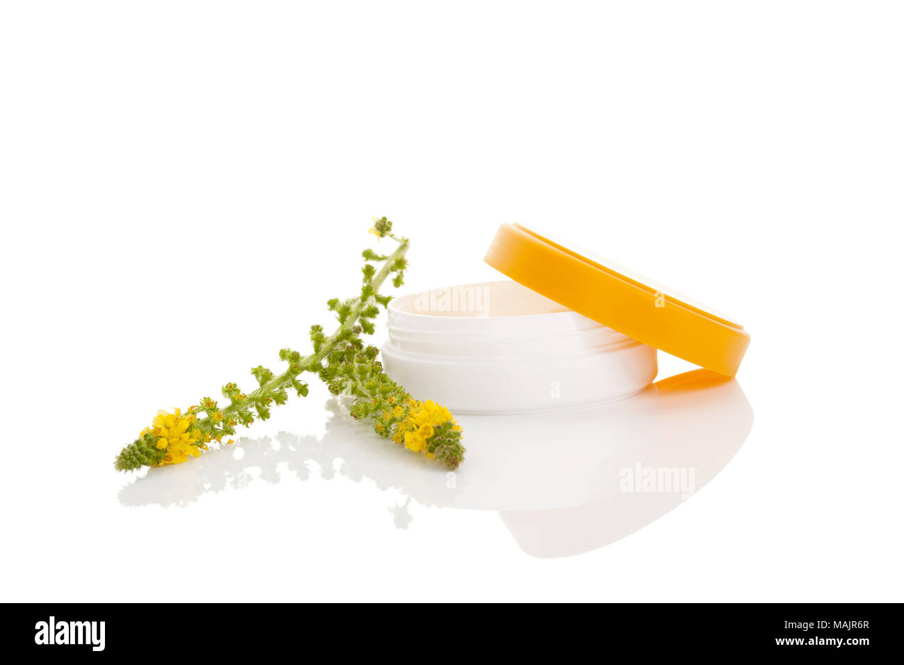 Fleur d'une politique commune aigremoine (Agrimonia eupatoria). Plante médicale. Aigremoine commune creme. Les produits cosmétiques naturels. Banque D'Images