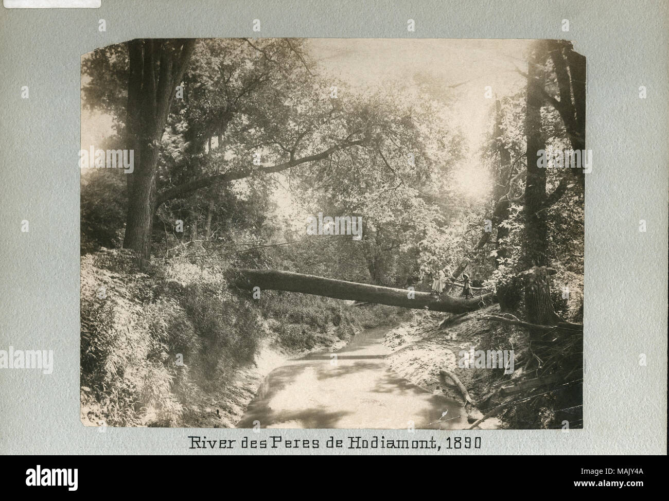 Deux enfants marchant sur un arbre tombé sur une petite rivière dans les bois. Titre : Rivière des Peres de Hodiamont, 1890. . 1890. Banque D'Images