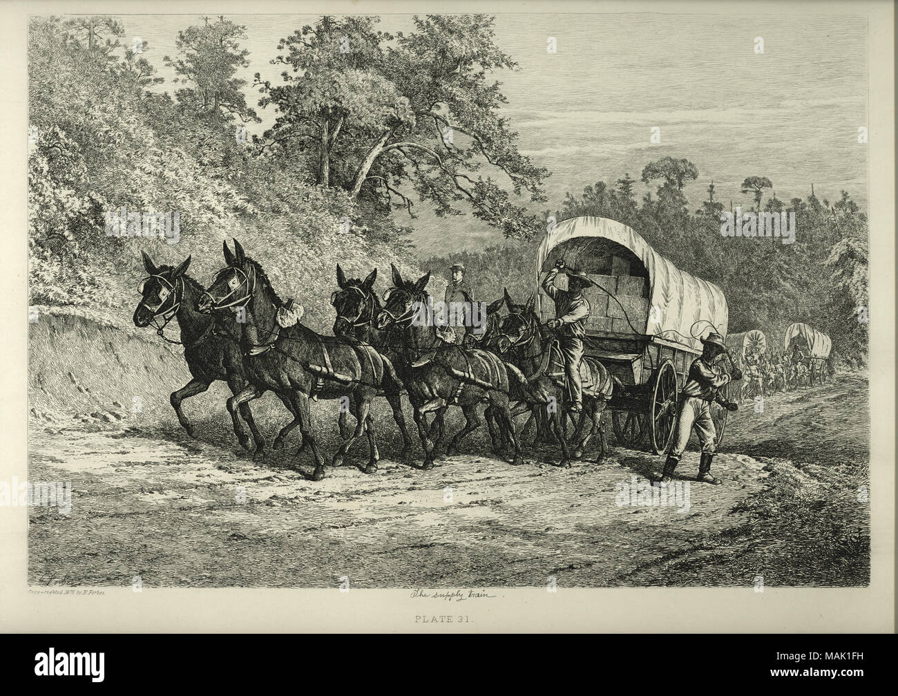 Imprimer l'offre d'un wagon tiré par six mules. Un African American man riding est un des mulets, tandis qu'un autre est debout à côté d'eux avec un fouet. Il y a un soldat à cheval sur l'autre côté de la mules, et plusieurs wagons sur l'arrière-plan. L'offre 'train' (écrit sous l'image). 1876 'Copie-redressé par E. Forbes.' et 'PLATE 31.' (imprimé ci-dessous l'image). Titre : 'l'offre Train.' . 1876. Edwin Forbes Banque D'Images