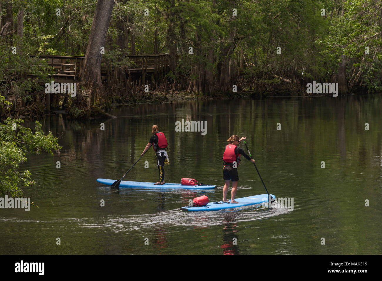 Stand Up Paddle Banque D'Images