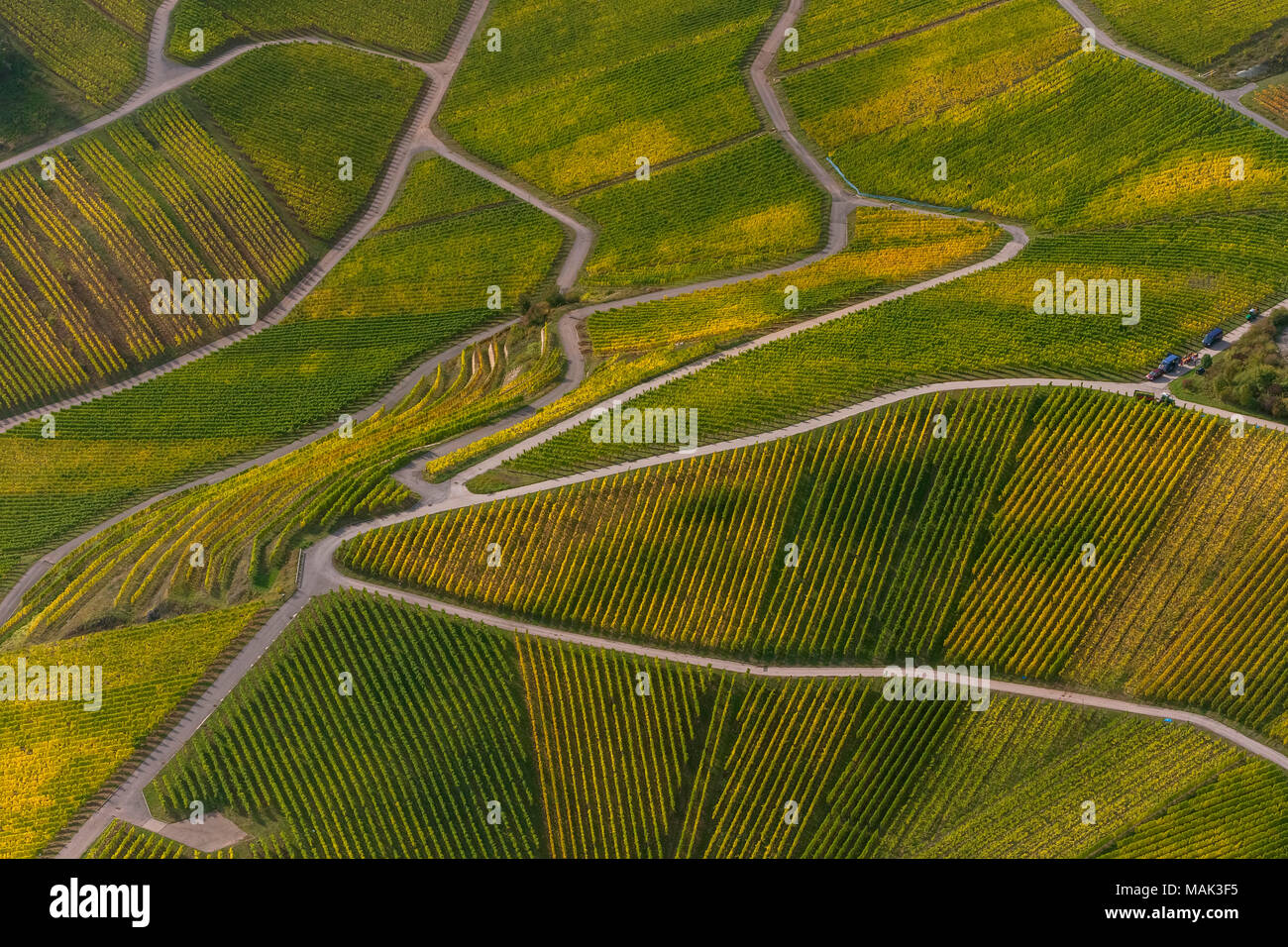 Région viticole de la Moselle, les vignobles, Wellenstein, Saarland, Grevenmacher, Luxembourg, Europe, vue aérienne, les oiseaux-lunettes, vue aérienne Vue aérienne, photographe Banque D'Images