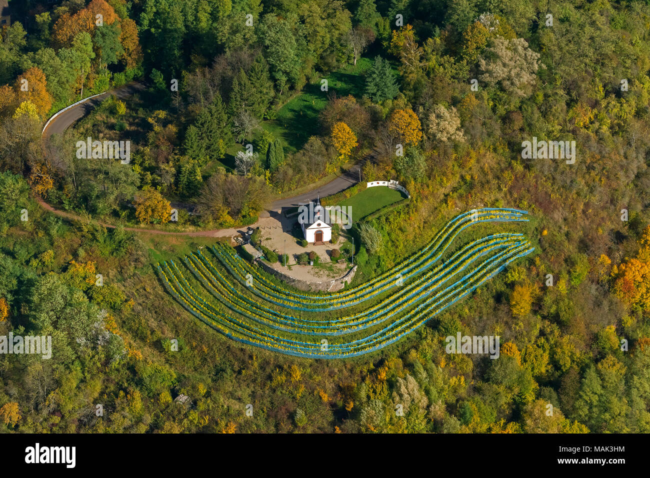 Vue aérienne, petite chapelle sur le Ellerweg au milieu des vignes, l'automne, les feuilles d'automne, Golden Octobre, l'été indien, Merzig, Sarre, Allemagne, Banque D'Images