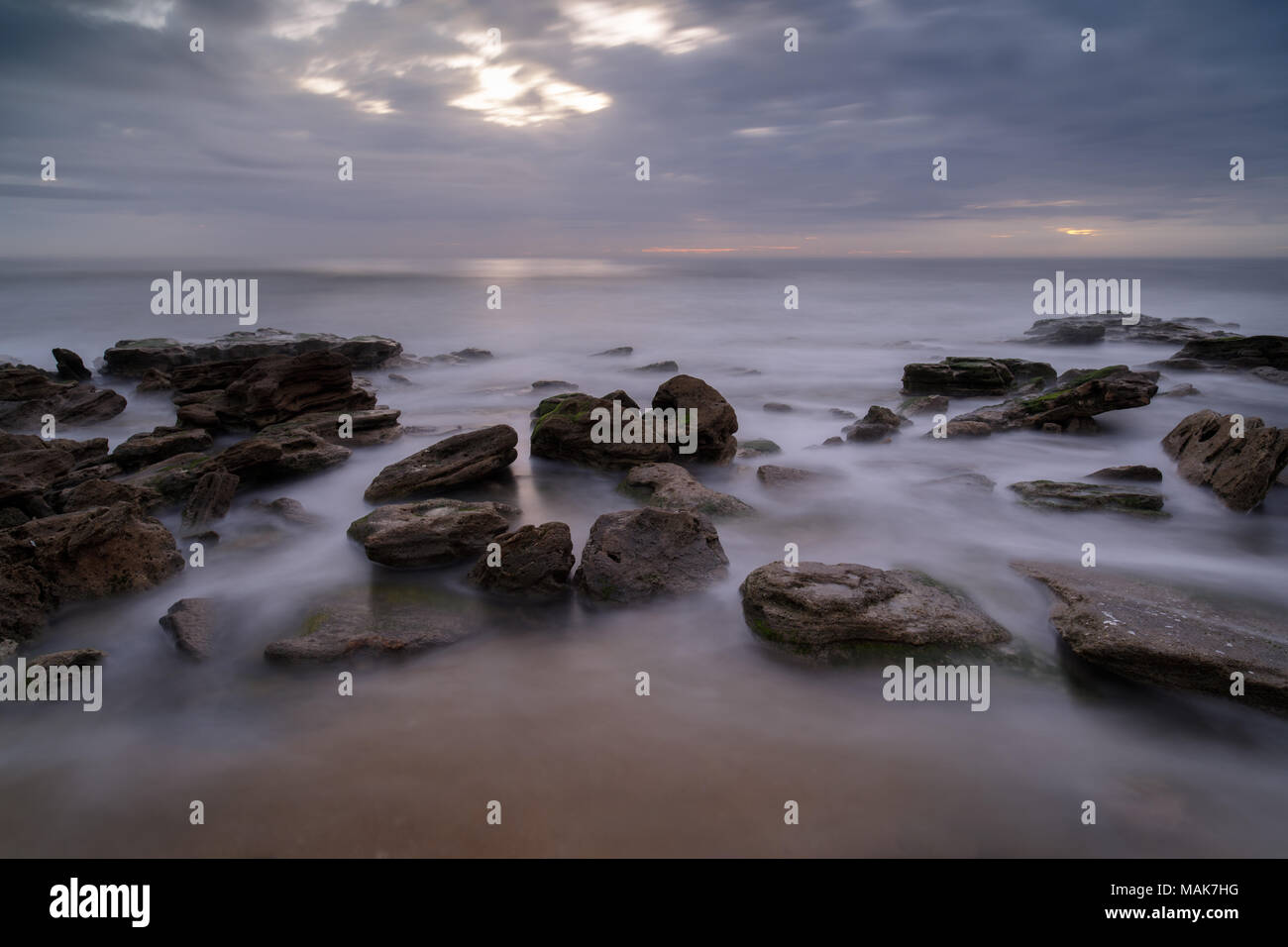 Washington Oaks Gardens State Park est situé au sud de Saint Augustin dans la ville de Palm Coast. L'établissement était autrefois administré par un parent éloigné de George Washington. Les jardins, situé entre la côte et la rivière Mantanzas, ont été mis sur pied par Louise et Owen Young. L'affleurement rocheux est coguina rock. Coquina rock est un composé de coquillages et de sable et fusionnées avec la calcite. La roche a été utilisée dans la construction depuis des siècles où elle est abondante. Banque D'Images