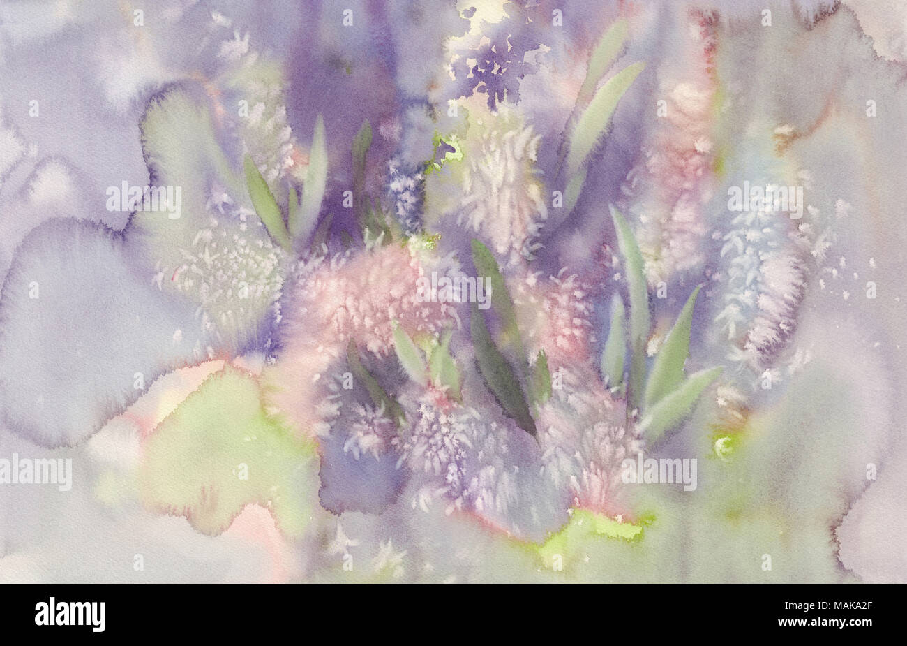 Rose fleur jacinthe contexte aquarelle abstraite Banque D'Images