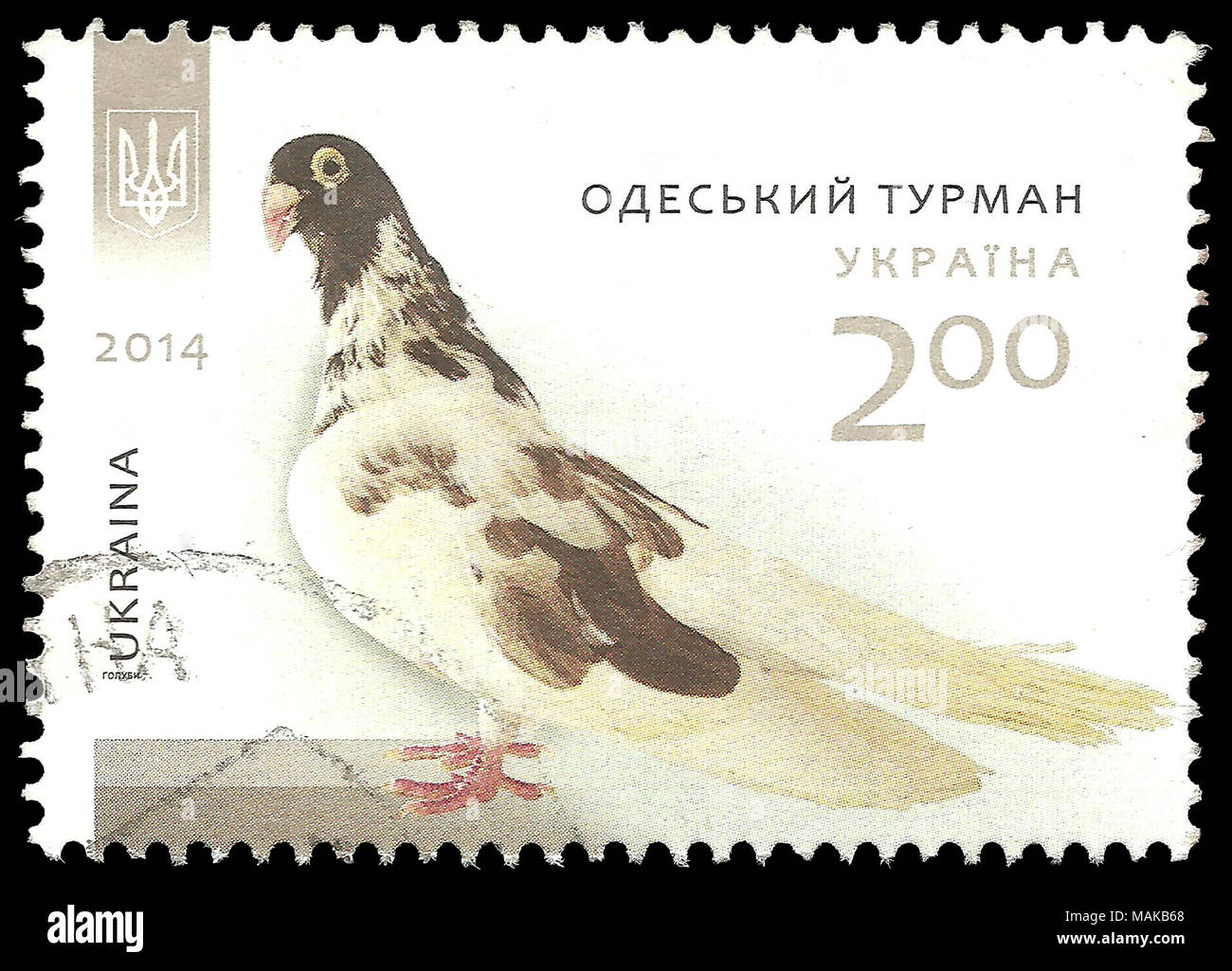 Ukraine - timbres en 2014 : Couleur edition sur les pigeons, Odessa montre Tumbler, Columba livia forma domestica Banque D'Images