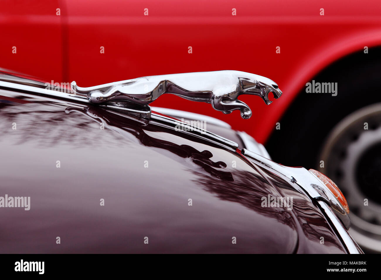 Chat mascotte capot Jaguar bondissant ou ornement de capot. Le symbole et le logo de Jaguar Cars. Banque D'Images