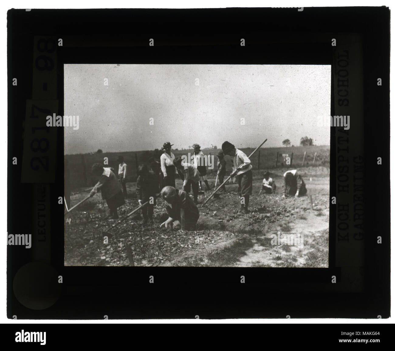 À l'horizontal, photo en noir et blanc d'un enseignant avec des garçons et des filles le binage et le sarclage d'un jardin. Titre : Musée de l'éducation des diapositives : Koch Hospital School le jardinage. . Vers 1904. Banque D'Images