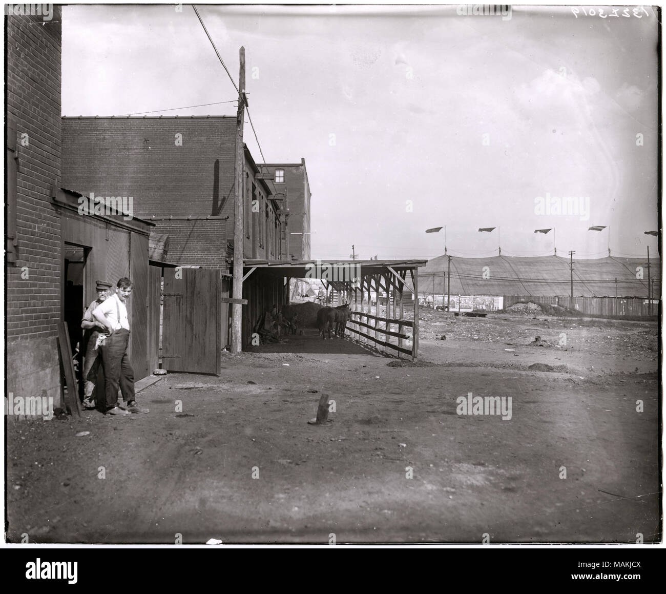 L'horizontale, 1970 Photographie noir et blanc montrant l'arrière de plusieurs étages, deux bâtiments en brique. Deux hommes sont debout près d'une porte ouverte sur la gauche. Près du centre, plusieurs chevaux peuvent être vus sous une structure ouverte, attaché à un immeuble, peut-être une partie d'un environnement stable. Le Barnum et Bailey tente de cirque à Grand et Laclede peut être vu dans l'arrière-plan sur la droite. Un lot de terre couvre une grande partie de l'avant-plan. Titre : bâtiments commerciaux ou d'équitation en face de la tente du cirque Barnum et Bailey à Grand et Laclede. . Entre 1900 et 1920. Holt, Charles Clement, 1866-1925 Banque D'Images