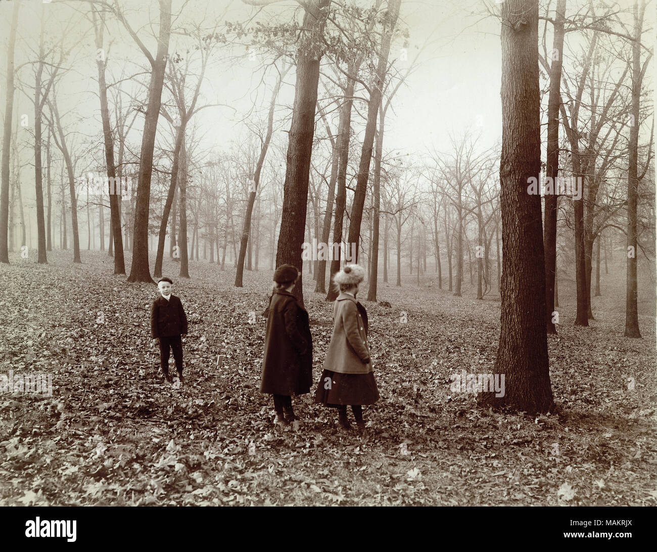 Titre : Les enfants marcher dans la région boisée du parc forestier avant autorisation pour la Foire mondiale de 1904. . 1901. George Stark Banque D'Images