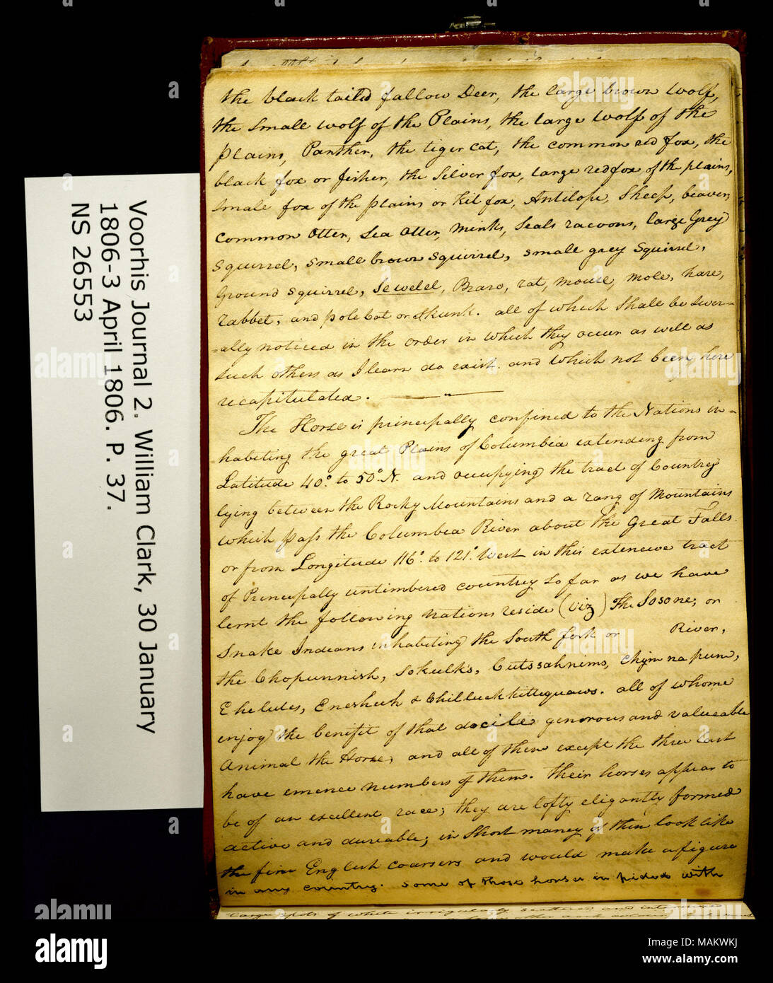 'La queue noir daim, le grand loup brun, le petit loup des plaines. . .' Title : Clark Family Collection : Volume 2. Voorhis Journal No 2, page 37, Février 15, 1806 . 15 février 1806. Clark, William, 1770-1838 Banque D'Images