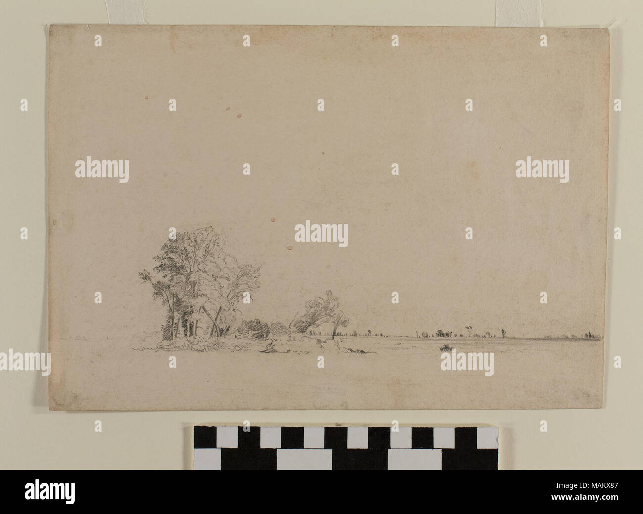 Dessin au graphite par English Mormon artiste Frederick Piercy, documenter son voyage jusqu'à l'Utah en 1853. Le dessin représente un bosquet dans l'actuel Nebraska. Plusieurs de ses œuvres ont été reproduites Piercy comme imprime dans son "itinéraire de Liverpool à Great Salt Lake Valley', publié en 1855. Titre : Dessin au graphite, 'Arbres, Nebraska' par Frederick Piercy . 1853. Piercy, Frederick Hawkins, 1830-1891 Banque D'Images