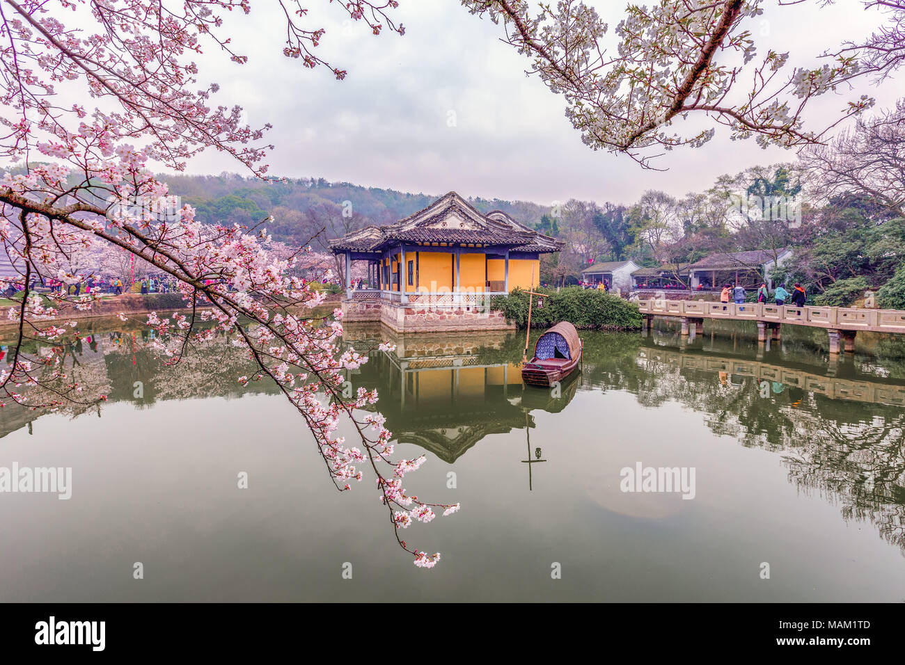 Wuxi, Wuxi, Chine. 2ème apr 2018. Wuxi, Chine 2e avril 2018 : une vue sur les cerisiers en fleurs à la tête de la tortue Yuantouzhu (Isle) scenic spot de Wuxi, Jiangsu Province de Chine orientale. Wuxi, une ville caractérisée par ses belles rivières, le célèbre lac Taihu, villages charmants et historiques, jardins de thé mélange continue de l'évolution moderne avec sa culture traditionnelle. Crédit : SIPA Asie/ZUMA/Alamy Fil Live News Banque D'Images