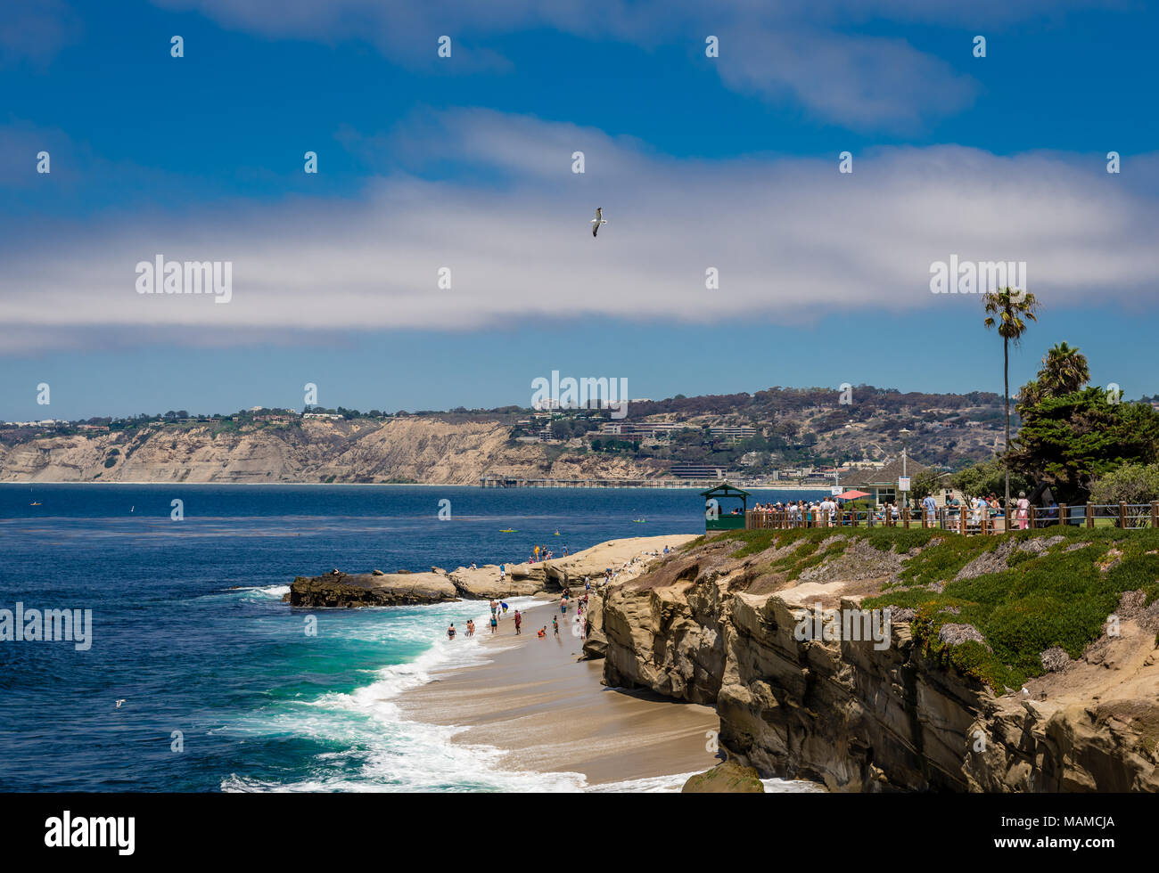 Vue de La Jolla Cove, San Diego, CA. Banque D'Images