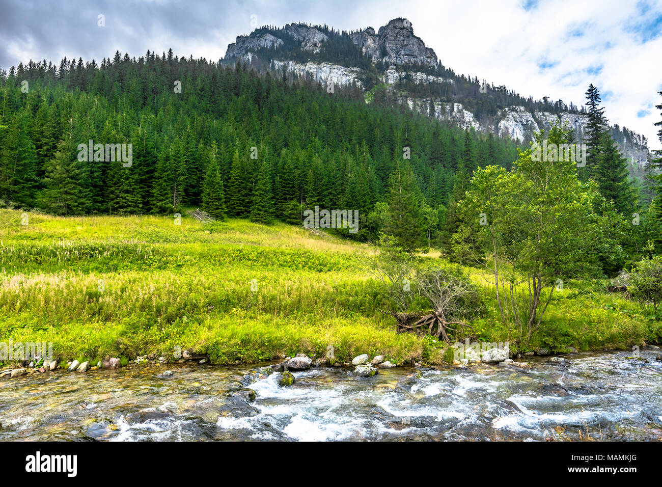 Sommet de montagne entouré de forêts sempervirentes et rivière dans les montagnes Tatras, paysage alpin Banque D'Images