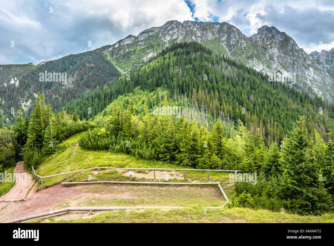 Vue panoramique sur les montagnes. Paysage avec rocky mountain, mont Giewont et sentier de randonnée autour de la forêt Banque D'Images