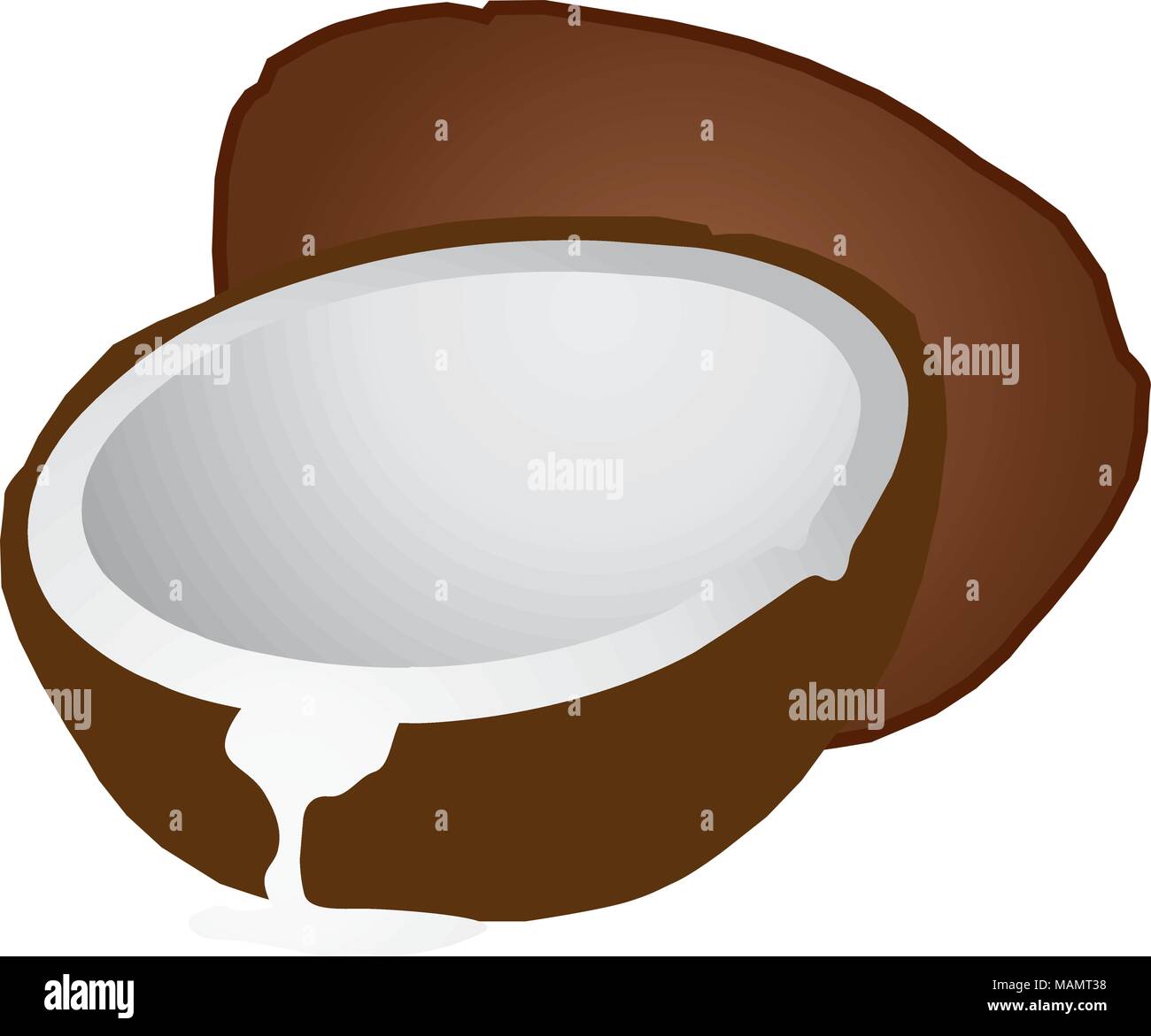 La production de noix de coco, huile de coco, de coprah et de coco, produits chimiques. Illustration de Vecteur