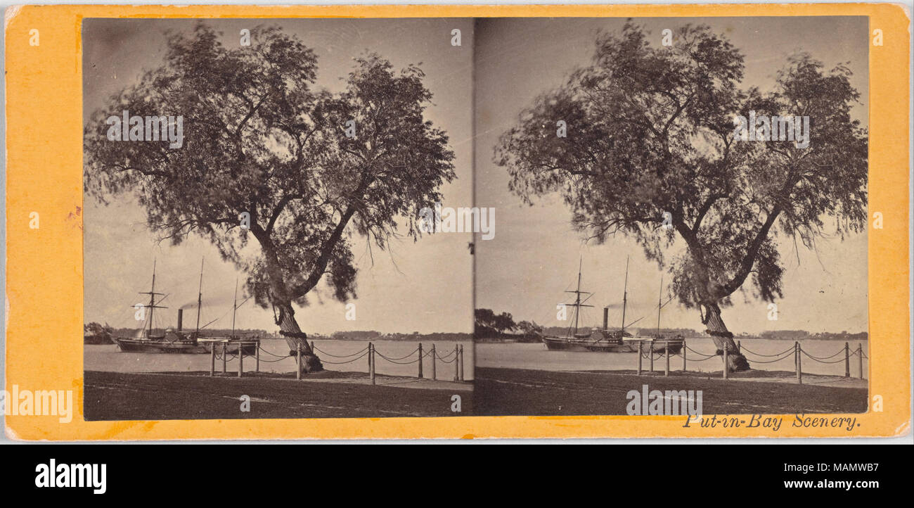 . Willow Tree. Plantée par Com. Perry et d'autres survivants de la bataille du lac Érié, pour marquer le lieu de sépulture des morts.. vers 1870 Banque D'Images